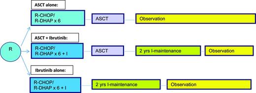 Figure 3. EU MCLNet younger TRIANGLE study design for fit patients with newly diagnosed MCL (provided by M. Dreyling, University of Munich, Munich, Germany).