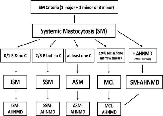 Figure 1. Diagnostic algorithm in SM. Based on the presence of at least one major and one minor or at least 3 minor SM criteria, the diagnosis of SM is established. Thereafter, the patient has to be examined for the presence of B findings, C findings, percentage of MCs in BM smears (to exclude the presence of MCL), and signs of an AHNMD. In patients with 0 or 1 B findings, no C findings, and no signs or symptoms indicating the presence of MCL or AHNMD, the final diagnosis is ISM. In those who present with 2 or 3 B findings but no C findings (and no MCL/AHNMD), the diagnosis of SSM is established. If at least one C finding is present, the diagnosis changes to ASM, and in those who also have at least 20% MCs in their BM smears, the diagnosis changes to MCL. In any variant of SM, an AHNMD may be diagnosed as a concomitant disease. In a final step, the AHNMD variant needs to be determined by WHO criteria.