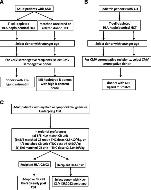 Figure 2. Proposed algorithm for donor selection based on KIR genotyping in (A) adult AML, (B) childhood ALL, and (C) CBT.