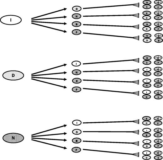 Figure 1. Possible treatment sequencing approaches in CML. At least 48 unique sequences can be identified. Not all options might be available in all parts of the world or they may have different indications. Stem cell transplant, investigational options, combination therapy, and others are not included for simplicity; including these options increases the number of sequence options available. B, bosutinib; D, dasatinib; I, imatinib; N, nilotinib; O, omacetaxine; P, ponatinib.