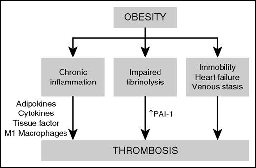 Figure 3. Proposed mechanisms of thrombosis in obesity. Obesity causes a prothrombotic state driven by chronic inflammation, impaired fibrinolysis, and clinical factors such as immobility, obstructive sleep apnea, and heart failure. Adipokines and proinflammatory cytokines secreted by M1 macrophages within adipose tissue contribute to the upregulation of procoagulant factors such as tissue factor and plasminogen activator inhibitor-1 (PAI-1), leading to increased thrombin generation, enhanced platelet activation, and an increased risk of thrombosis.