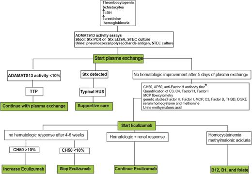 Figure 2. Diagnostic and therapeutic algorithm in TMAs. Role of eculizumab in the treatment of secondary aHUS (cancer-, chemotherapy-, solid-organ transplant- or HSCT-, pregnancy-, or autoimmune disorder-associated) have not been established and is out of the scope of this study. *In patients with anti-FH antibody, immunosuppressive reagents (steroid, rituximab, cyclophosphamide, and azathioprine) should be added to eculizumab. ELISA, enzyme-linked immunosorbent assay; LDH, lactate dehydrogenase; PCR, polymerase chain reaction.
