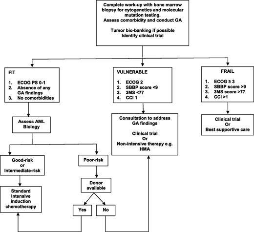 Figure 1. Proposed algorithm for treating the elderly AML patient. 3MS, 100-point Modified Mental State Examination.