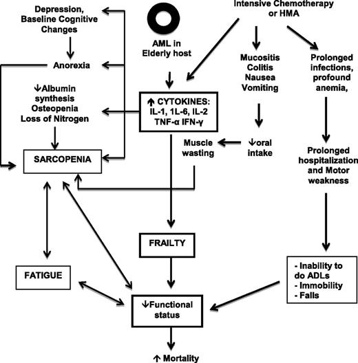 Figure 2. Interaction between host, disease, and treatment-related factors. IFN-γ, interferon gamma.