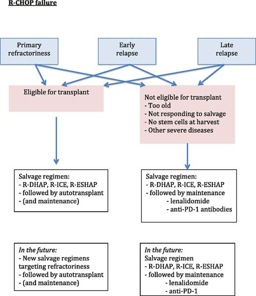 Figure 2. Suggested algorithm for therapy in patients for whom R-CHOP therapy failed.