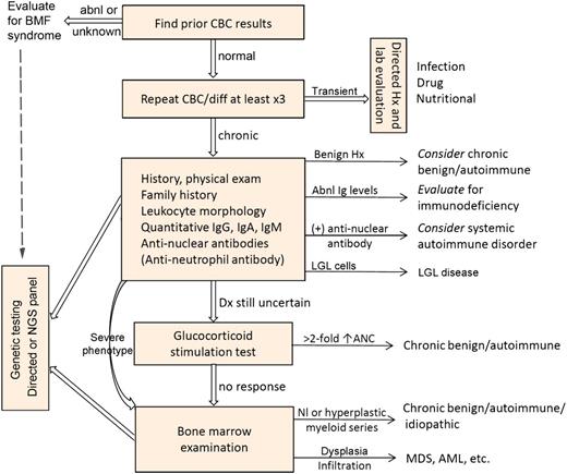 Figure 1. Algorithm for the diagnosis of acquired neutropenia. “Anti-neutrophil antibody” is enclosed in parentheses to indicate that the test has limited utility (see text). abnl, abnormal; AML, acute myeloid leukemia; ANC, absolute neutrophil count; BMF, bone marrow failure; CBC, complete blood count; diff, differential count; Dx, diagnosis; Hx, history; Ig, immunoglobulins A, G, and M; LGL, large granular lymphocyte; MDS, myelodysplastic syndrome; NGS, next generation sequencing; Nl, normal; Sx, symptoms. “Severe phenotype” indicates severe, recurrent, or opportunistic infections. Adapted from Dinauer et al1 with permission.