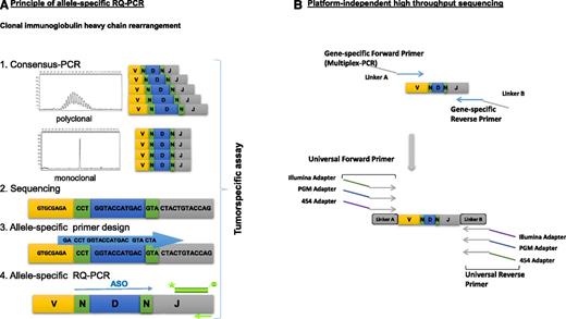 Figure 1. Workflow for MRD assessment by RQ-PCR and high-throughput sequencing targeting the clonal immunoglobulin heavy chain gene (IGH) rearrangement. (A) Consensus PCR for assessment of clonal IGH gene rearrangements is followed by Sanger sequencing to identify the clonal VH-N-DH-N-JH region for each patient. Allele-specific primers are used for sensitive quantification of residual tumor cells by RQ-PCR. (B) An amplicon-sequencing strategy is used for identification of clonal IGH gene rearrangement in a 2-step PCR approach, in which the first PCR is performed by using multiplex gene-specific primers tailed with a universal linker sequence. The universal tailed amplicons can be used for second-round PCR, in which next-generation sequencing platform-specific adapters can be introduced, depending on the platform used for sequencing.