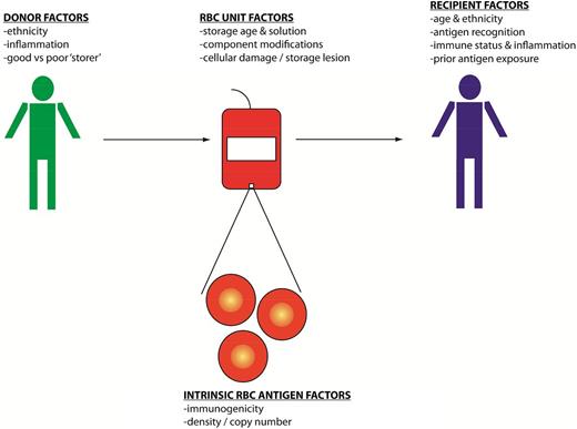 Figure 1. A schematic model of the potential triggers for blood group alloimmunization including donor, recipient, unit, and RBC-specific factors that may influence the development of alloantibodies.