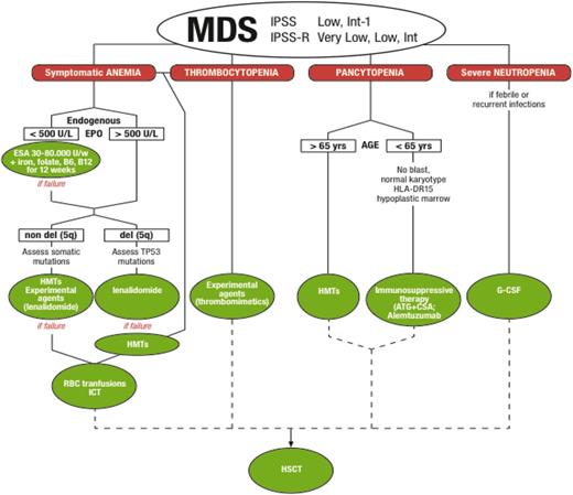 Figure 1. Treatment algorithm for IPSS lower-risk MDS. ATG, antithymocyte globulins; CSA, cyclosporine; ESAs, erythropoietic-stimulating agents; G-CSF, granulocyte colony-stimulating factor; HMTs, hypomethylating agents; HSCT, hematopoietic stem cell transplant; ICT, iron chelation therapy.
