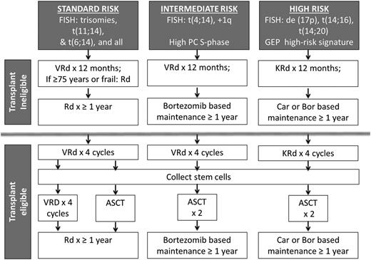Figure 2. Treatment algorithm for NMM. Modified from mSMART algorithm.33 Bor, bortezomib; Car, carfilzomib; KRd, carfilzomib, lenalidomide, and dexamethasone; Rd, lenalidomide and dexamethasone; VRd, bortezomib, lenalidomide, and dexamethasone.