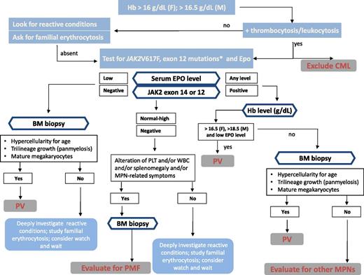 Figure 1. Algorithm for evaluation of MPN phenotype with erythrocytosis. *Test JAK2 V617F first and exon 12 JAK2 mutations if V617F is negative. CML, chronic myeloid leukemia; Epo, erythropoietin; F, female; M, male; MK, megakaryocytes; PLT, platelet; WBC, white blood cell.