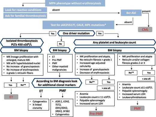 Figure 2. Algorithm for evaluation of MPN phenotype without erythrocytosis. *Test JAK2 V617F first, CALR mutations if V617F is negative, and MPL mutations if JAK2 and CALR are negative. **Evaluate for MPN, MDS, MDS/MPN, or other myeloid malignancies.