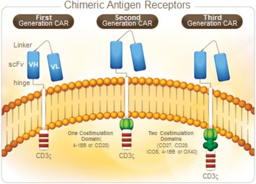 Figure 1. The generations of anti-CD19 chimeric antigen receptor T cells.
