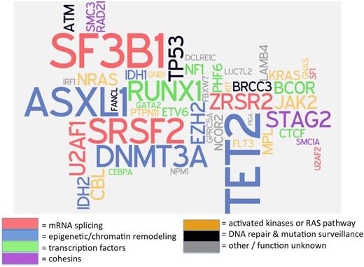 Figure 1. “Word cloud” of mutations recurrently associated with MDS. Many of these mutations are commonly included on currently available molecular genetic testing assays (“mutation panels”) designed to aid in diagnosis and prognosis of patients with myeloid neoplasms. Gene font size is proportionate to the square root of mutation frequency, to allow readability of infrequent recurrent mutations, and color corresponds with putative or known biological function of encoded proteins. Data on mutation frequency from Haferlach.10 Figure cocreated with Rafael Bejar, University of California–San Diego.