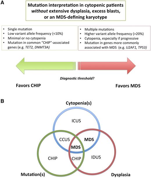 Figure 2. Relationship between unexplained cytopenias and mutations. (A) Multiple mutations at high variant allele frequency indicate a clone of substantial size and suggest a high likelihood of a myeloid neoplasm, whereas single mutations at low variant allele frequency is more likely to be CHIP, but the threshold between these states is currently unclear. (B) Venn diagram of the intersection of morphologic dysplasia, clonal mutations and peripheral blood cytopenias. In the future, some patients with cytopenias plus clonal mutations, currently designated as CCUS, may be redefined as MDS. Patients with dysplasia and cytopenias without mutations, in contrast, although currently defined as MDS, may be found to have a distinct syndrome. Such patients appear to be overrepresented in series of responders to immunosuppressive therapy, for example. IDUS, idiopathic dysplasia of undetermined significance.