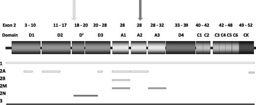 Figure 1. Structure of VWF, highlighting mutation location. Exons encoding specific VWF domains are highlighted above the VWF domain structure. Shaded rectangles indicate VWF domains. Mutation locations are denoted by shaded bars indicating regions associated with each VWD type. Furin (light gray) and ADAMTS13 cleavage sites (dark gray) are indicated by arrows.