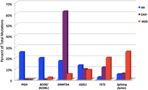 Figure 1. Relative mutation frequencies in AA, clonal hematopoiesis of indeterminate potential (CHIP), and MDS. Modified from Ogawa.27