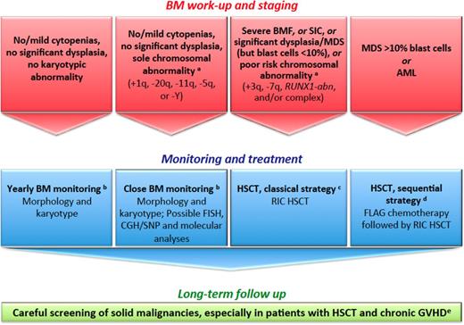 Figure 3. How we diagnose and manage FA patients with MDS and AML. (a) We define provisional cytogenetic/molecular categories by reference to MDS/AML literature in patients with FA50,51 and without FA.52,53 (b) The timing of BM monitoring is discussed, especially because repeated aspiration is poorly tolerated in children, adolescents, and young adults. The overall consensus is that 1 year of BM aspirate is reasonable and should be adapted in response to blood cell count changes, myelodysplastic signs, increased blast proportion, and/or cytogenetic evidence of clonal evolution. (c) Standard RIC regimen combines fludarabine 90 mg/m2 (30 mg/m2 on days −4, −3, and −2) and cyclophosphamide 40 mg/kg (10 mg/kg on days −5, −4, −3, and −2) for MRDs. For MDS/AML, low-dose CY/FLU alone may not suffice as conditioning therapy because of the substantial number of residual host cells early post transplantation with this approach and the risk of relapse; an alternative is to use TBI 2-3 Gy in patients with MDS/AML and an HLA-matched sibling donor.28,54 For MRDs, the conditioning regimen combines fludarabine 120 mg/m2, cyclophosphamide 40 mg/kg, and TBI 2 Gy. GVHD prophylaxis combines mycophenolate acid and cyclosporine. ATG is used in total doses of 5 mg/kg for MUDs only. In CB HSCTs, we do not use ATG in the conditioning regimen. (d) Others do not recommend cytoreduction, except in patients with BRCA2 mutations54; the sequential strategy comprises pretransplant chemotherapy with fludarabine 30 mg/m2 per day for 5 days and cytarabine 1 g/m2 × 2 per day for 5 days with granulocyte colony-stimulating factor injections (FLAG), followed 3 weeks later by a RIC conditioning regimen (4 days of cyclophosphamide 10 mg/kg, 4 days of fludarabine 30 mg/m2, and TBI 2 Gy) delivered during chemotherapy-induced aplasia. ATG is used in total doses of 5 mg/kg for MUDs only. In CB HSCTs, we do not use ATG in the conditioning regimen. (e) Screening for malignancies, including oropharyngeal, dental, and gynecological examinations, forms part of long-term patient care. Naturally, long-term multidisciplinary surveillance is also mandatory for all patients post HSCT. Multiple problems in early age, subsequent HSCT requirements, and continuing poor prognosis in survivors as a result of cancer susceptibility is a source of stress for patients with FA and their families. Adequate psychological support and a coordinated multidisciplinary team with dedicated physicians are the cornerstones to successful management. CGH, comparative genomic hybridization; FLAG, fludarabine/cytarabine/granulocyte colony-stimulating factor; GVHD, graft-versus-host disease; RIC, reduced-intensity conditioning regimen; SIC, severe isolated cytopenia; SNP, single nucleotide polymorphism.