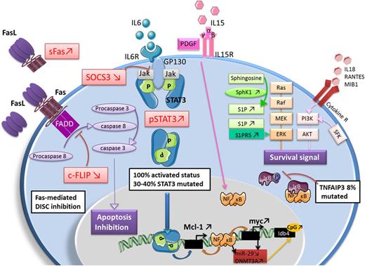 Figure 4. Summary of dysregulated cellular pathways in LGL leukemia. Adapted with permission from Lamy et al.8