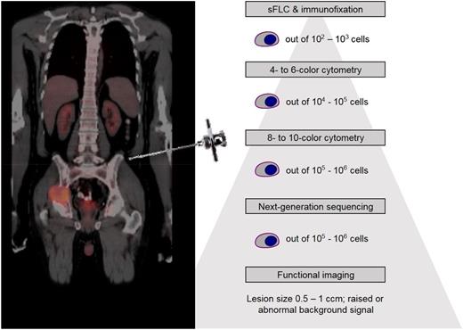 Figure 1. Sensitivity of different techniques for assessing myeloma disease burden.