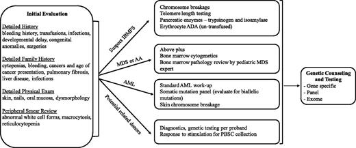 Figure 1. Suggested diagnostic evaluation for leukemia susceptibility syndromes. The order of the evaluation for a suspected leukemia susceptibility syndrome depends, in part, on the way in which the patient first presents. For example, the evaluation of a patient with isolated cytopenias should thoroughly investigate causes of an inherited bone marrow syndrome. Individuals presenting with AML should undergo prompt evaluation and therapeutic intervention for the AML with consideration of familial syndromes. AA, aplastic anemia; ADA, adenosine deaminase; AML, acute myeloid leukemia; IBMFS, inherited bone marrow failure syndromes; MDS, myelodysplastic syndrome; PBSC, peripheral blood stem cell.