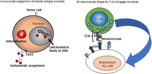 Figure 1. Mechanism of action (inotuzumab, ozogamicin, and blinatumomab).