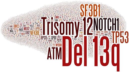 Figure 1. Genes and chromosomal regions affected by molecular lesions in CLL. The word cloud shows the genes that are reported as mutated in CLL by the Catalogue of Somatic Mutations in Cancer (COSMIC; v77) and the gross chromosomal abnormalities that are recurrent in CLL. The size of the font is proportional to the frequency of the molecular lesion.