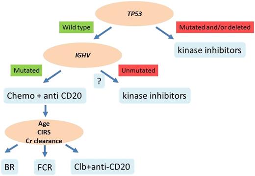 Figure 3. Biomarker-informed decision nodes in the management of newly presented CLL. At the time of treatment requirement, the presence of TP53 mutation/deletion represents an indication for treatment with kinase inhibitors, for example, ibrutinib or, alternatively, idelalisib. Patients who require first-line treatment and carry a wild-type TP53 gene may be candidate to chemoimmunotherapy with one of the available combinations, especially in the presence of mutated IGHV genes. In patients with wild-type, a TP53 gene, and unmutated IGHV genes, the role of chemoimmunotherapy is under debate, and kinase inhibitors may represent a valuable option. CIRS, Cumulative Illness Rating Scale.