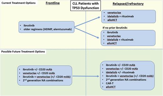 Figure 1. Current and possible future treatment options for CLL patients with TP53 dysfunction. HDMP, high-dose methylprednisolone; alloHCT, allogeneic hematopoietic cell transplantation; mAb, monoclonal antibody; NA, novel agent.