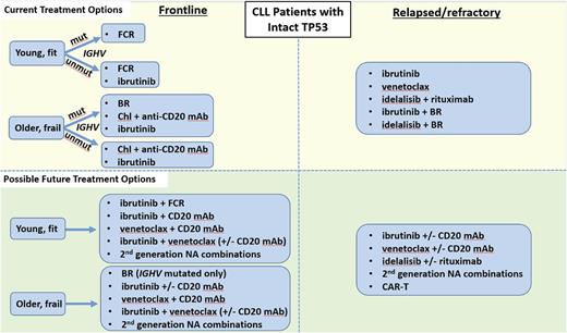 Figure 2. Current and possible future treatment options for CLL patients with intact TP53. Chl, chlorambucil.