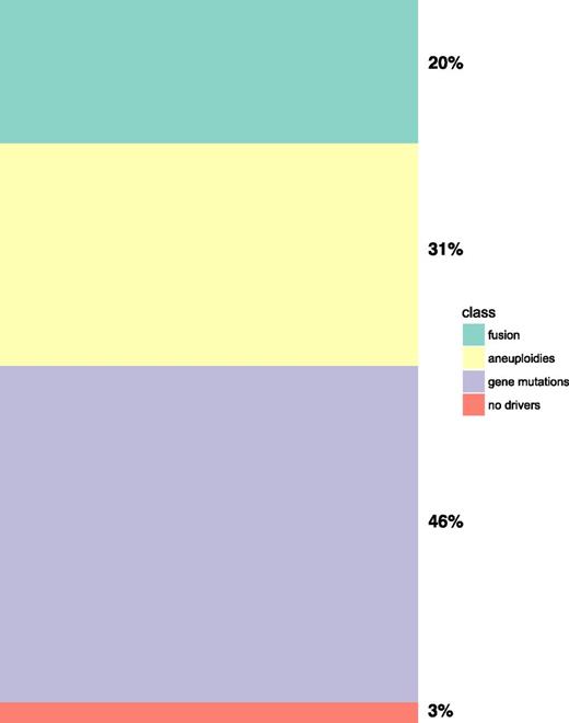Figure 1. Meta-analysis of Papaemmanuil et al23 2016 data for broad patterns of genomic instability in AML shows that ∼20% of patients with AML were defined according to fusion genes, 31% by chromosomal aneuploidies (to include at least 1 aneuploidy), 46% by gene mutations only (in the absence of gene fusions and chromosomal aneuploidies), and 3% with no events.