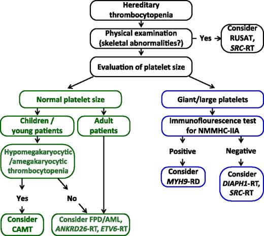 Figure 2. Diagnostic algorithm for hereditary thrombocytopenias predisposing to additional illnesses based on the evaluation of a few basic patients’ clinical features. Abbreviations are explained in Table 1.