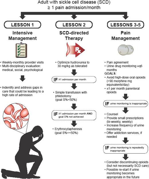 Figure 1. A model for the management of adults with sickle cell disease.