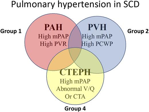 Figure 3. Clinical types of PH observed in patients with SCD. CTA, computed tomography angiography; CTEPH, chronic thromboembolic PH; mPAP, mean pulmonary artery pressure; PCWP, pulmonary capillary wedge pressure; V/Q, ventilation/perfusion.