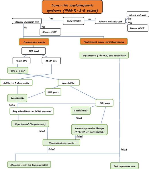 Figure 1. Treatment algorithm for myelodysplastic syndromes (personal approach): Predominant severe neutropenia is rare in lower-risk MDS. Supportive treatment with G-CSF and antibiotic/antifungal therapy is warranted if infections occur. HSCT, hematopoietic stem cell transplantation. ATG, antithymocyte globulin; CsA, ciclosporine A; EPO, erythropoietin; G-CSF, granulocyte-colony stimulating factor.