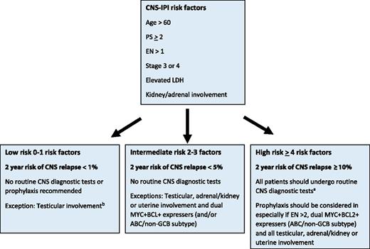 Figure 2. A suggested algorithm for the selection of patients for CNS-directed staging investigations and criteria for use of CNS prophylaxis. aCNS diagnostic tests: magnetic resonance imaging (preferred) of the head or computed tomography scan of the head; CSF for cytology and flow cytometry. A CNS evaluation should also be performed with response assessment. bKidney/adrenal or uterine involvement and only low-risk CNS-IPI is exceedingly rare. If present, CNS diagnostics are recommended. Note: for patients with MYC+BCL2+ DHIT or THIT DLBCL, all patients should undergo CNS diagnostic tests and receive prophylaxis.