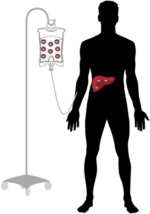 Figure 2. Peripheral administration of rAAV vector for liver-directed gene transfer for HA or HB.