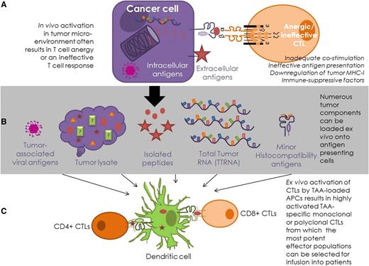 Figure 1. Antigen-specific T-cell strategies for lymphomas. (A) In vivo, intracellular antigens are presented on MHC-I molecules, where CTLs can engage directly with the MHC-I–peptide complex on the surface of the cancer cell. Surface antigens can be targeted indirectly via presentation by antigen-presenting cells or directly by antibodies. This process is often ineffective in cancer patients. (B) Antigen presentation is enhanced in T-cell–mediated therapies, as tumor-derived material is presented by appropriately activated antigen-presenting cells, most commonly DCs. Antigenic DC loading of tumor-associated viral peptides, lysed tumor cells, known antigenic tumor peptides, total tumor RNA (TTRNA), and minor histocompatibility proteins have all been attempted in hematological T-cell–based immunotherapy. (C) T-cell–based therapies enhance the T-cell response by ensuring appropriate costimulation and optimal environmental conditions for T-cell activation. This process allows TAA-specific T-cell clones, or polyclonal multiantigen-specific T cells, to be expanded ex vivo from patients or healthy donors for infusion into patients.