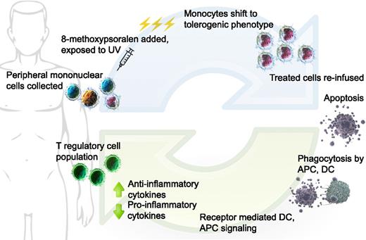 Figure 1. Extracorporeal photopheresis: Buffy coat is collected from patient, 8-MOP added to the collected cells, then treated with UVA. Monocytes shift to DCs with immature, tolerogenic phenotype; all treated cells infused back to patient. Activated lymphocytes undergo apoptosis over 24 to 48 hours. Donor and residual host APCs take up apoptotic bodies, resulting in favorable changes in cytokine milieu. Tolerogenic DCs are unable to stimulate effector T cells; T-regulatory cell population promoted. DC, dendritic cell; APC, antigen presenting cell. (Cell image credits Blausen Medical, US National Library of Medicine; figure design Mia Zierk.)