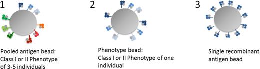 Figure 2. Luminex bead characteristics. The 3 formats of Luminex beads.