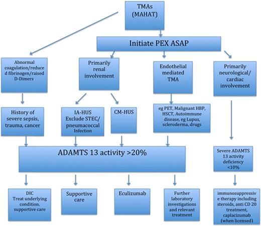 Figure 1. Summary of diagnosis and treatment of TMAs. ASAP, as soon as possible; PET, pre-eclampsia toaxemia.