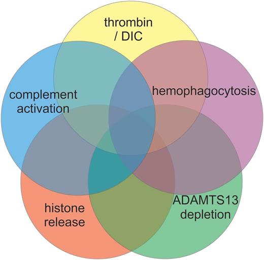 Figure 1. Mechanisms of thrombocytopenia in sepsis. Multiple mechanisms have been proposed to contribute to the thrombocytopenia of sepsis. The relative contribution of each potential mechanism may vary among patients and within a given patient over time. DIC, disseminated intravascular coagulation.