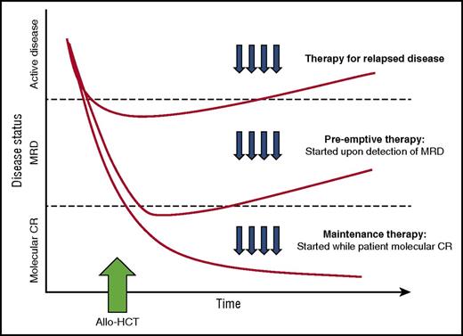 Figure 1. Different approaches to post-transplantation therapies after allogeneic HCT including treatment vs preemptive vs maintenance. (Adapted with permission from Defilipp and Chen.8)