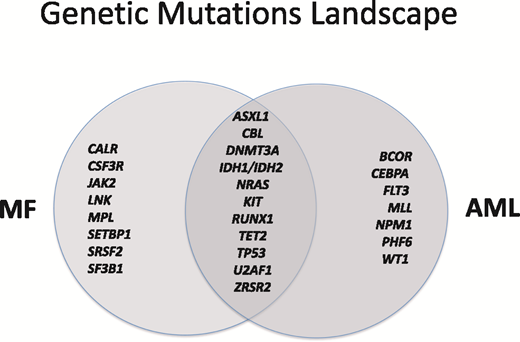 Figure 1. Common genetic mutations found in MF and AML.