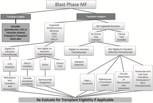 Figure 3. Proposed treatment algorithm for blast-phase MF.