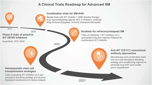 Figure 4. A clinical trials roadmap for advSM. Over the next few years, several avenues of clinical trial investigation are envisioned based on unmet needs of this patient population and the availability of new therapeutics. HSC, hematopoietic stem cell.