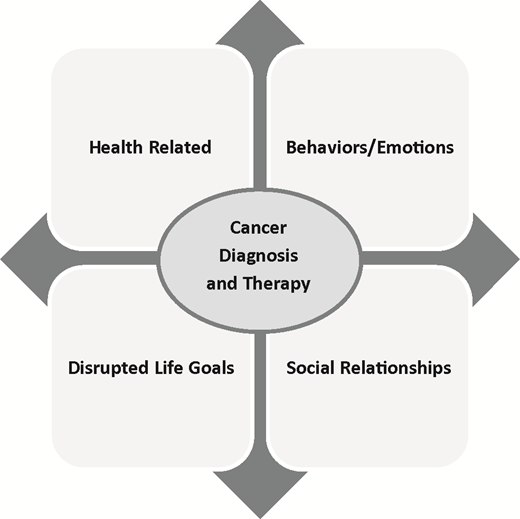 Figure 2. Major patient-centered domains of concerns facing AYA survivors impacted by a cancer diagnosis and subsequent therapy.