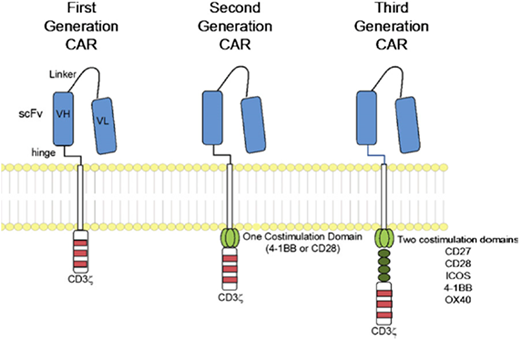 Figure 1. CAR structure, according to signaling domains. CAR molecules link scFv to intracellular signaling domains. The intracellular component includes the CD3ζ alone (first generation) or in combination with 1 (second generation) or 2 (third generation) costimulatory domains. Reprinted with permission.45