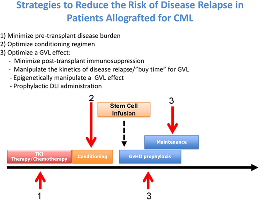 Figure 1. Strategies to reduce the risk of disease relapse after allo-SCT in CML.