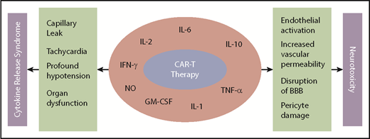 Figure 1. Mechanism of CRS and neurotoxicity with CAR-T. BBB, blood-brain barrier; GM-CSF, granulocyte-macrophage colony-stimulating factor; IFN-γ, interferon-γ; NO, nitric oxide; TNF-α, tumor necrosis factor-α.